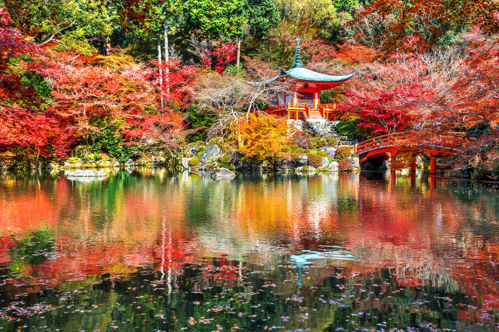 Comment créer un oasis de paix dans votre jardin avec une fontaine zen ?